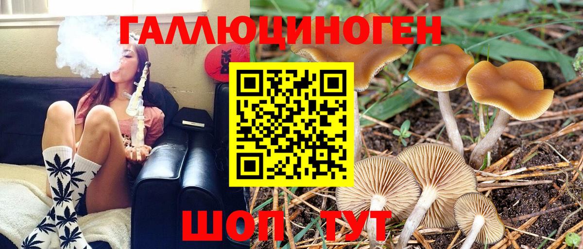 Псилоцибиновые грибы ЛСД Новодвинск