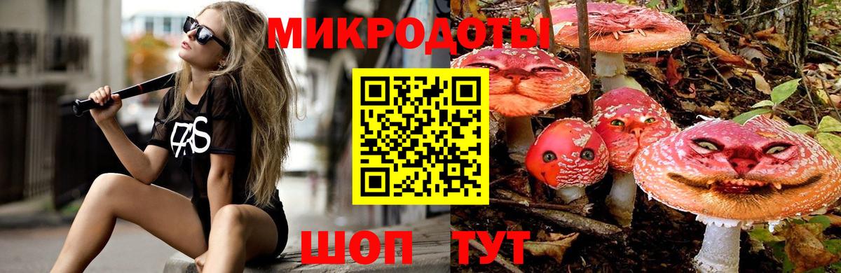 Псилоцибиновые грибы MAGIC MUSHROOMS  Галлюциногенные грибы GOLDEN TEACHER  Новодвинск  Вход с VPN 